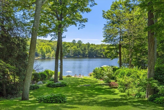 342 Lake Shore Rd, Putnam Valley, NY 10579 - photo 41