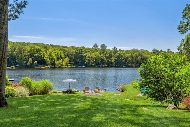 342 Lake Shore Rd, Putnam Valley, NY 10579 - photo 42