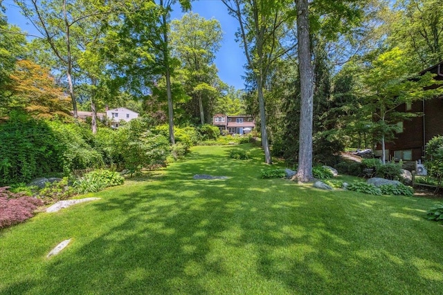 342 Lake Shore Rd, Putnam Valley, NY 10579 - photo 44