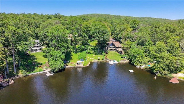 342 Lake Shore Rd, Putnam Valley, NY 10579 - photo 48
