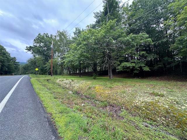 2139 State Route 97, Pond Eddy, NY 12770 - photo 2