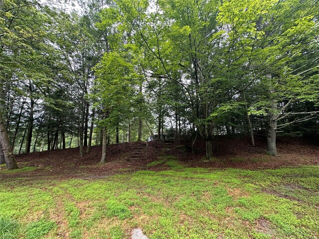 2139 State Route 97, Pond Eddy, NY 12770 - photo 3