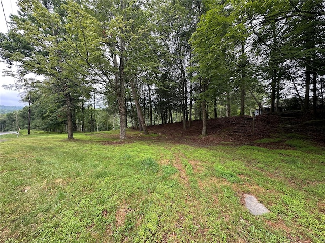 2139 State Route 97, Pond Eddy, NY 12770 - photo 4