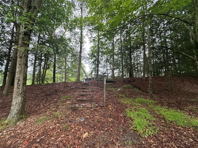 2139 State Route 97, Pond Eddy, NY 12770 - photo 5