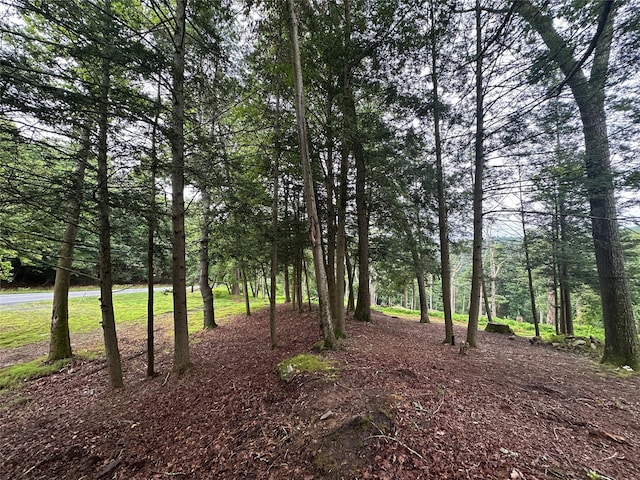 2139 State Route 97, Pond Eddy, NY 12770 - photo 6