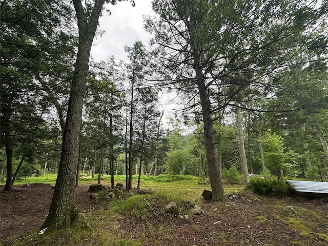 2139 State Route 97, Pond Eddy, NY 12770 - photo 7
