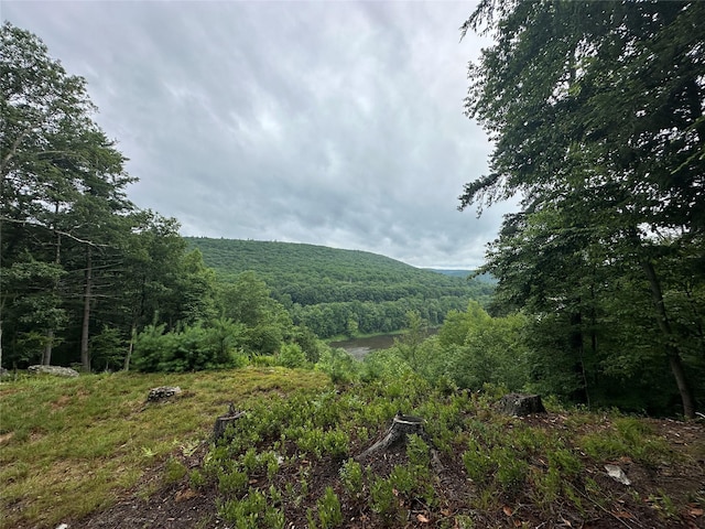 2139 State Route 97, Pond Eddy, NY 12770 - photo 15