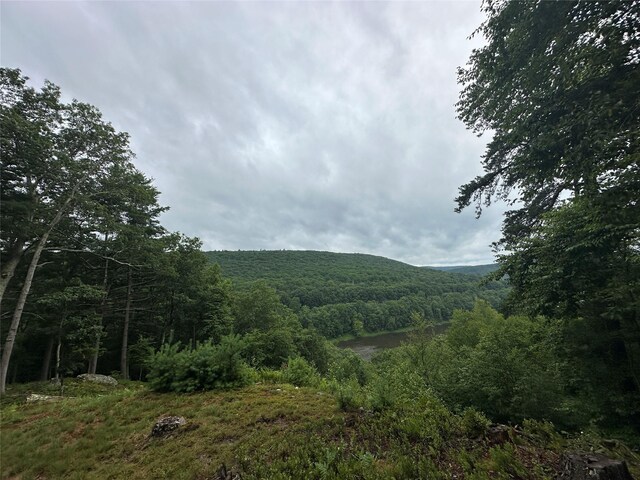 2139 State Route 97, Pond Eddy, NY 12770 - photo 16