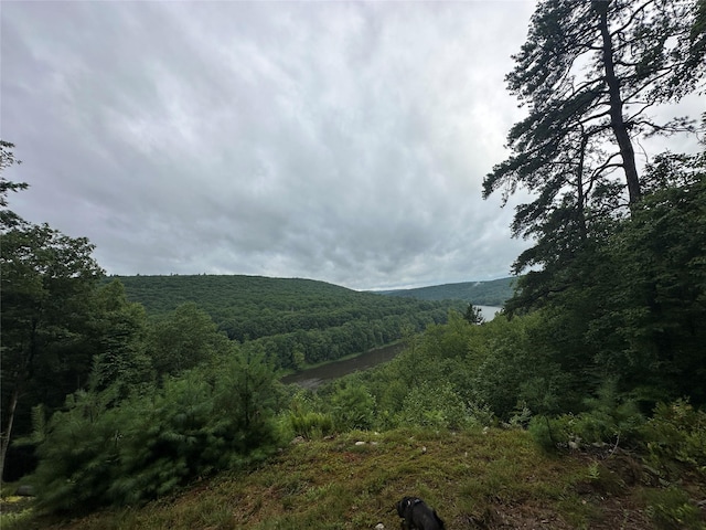 2139 State Route 97, Pond Eddy, NY 12770 - photo 17
