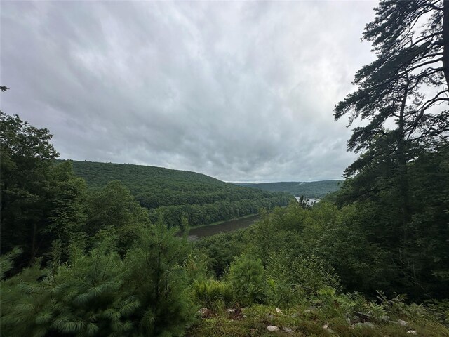 2139 State Route 97, Pond Eddy, NY 12770 - photo 18