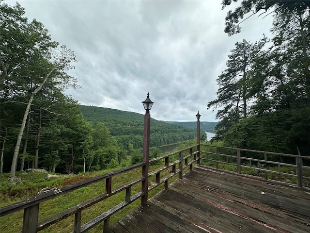 2139 State Route 97, Pond Eddy, NY 12770 - photo 23