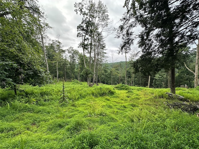 2139 State Route 97, Pond Eddy, NY 12770 - photo 35