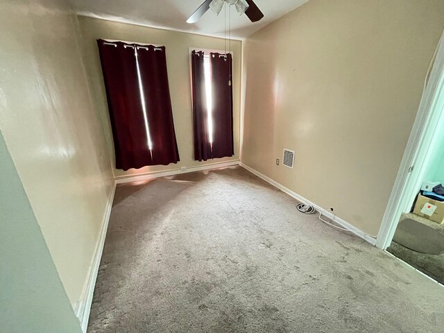 351 Autumn Ave, Brooklyn, NY 11208 - photo 13