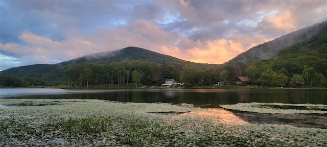5-7 Myrtle Ave, Pine Plains, NY 12567 - water view with a mountainous background and a heavily wooded area