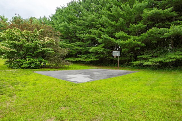 2 Scott Ln, Lagrangeville, NY 12540 - photo 34
