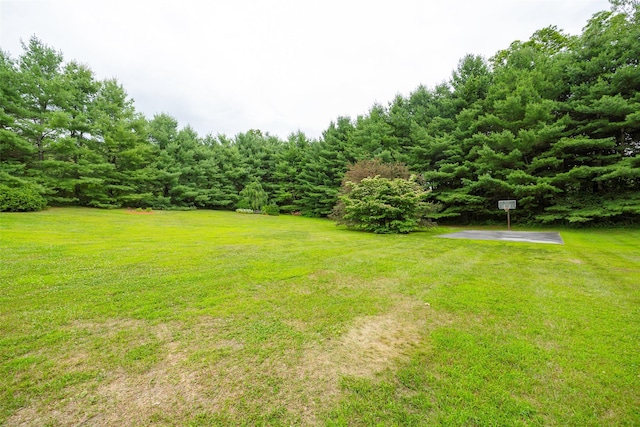 2 Scott Ln, Lagrangeville, NY 12540 - photo 35