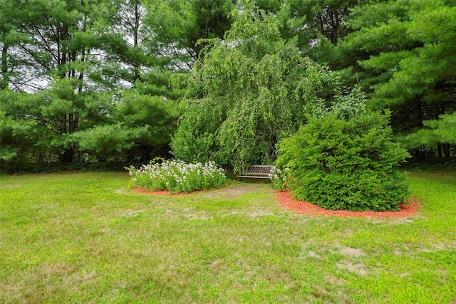 2 Scott Ln, Lagrangeville, NY 12540 - photo 36