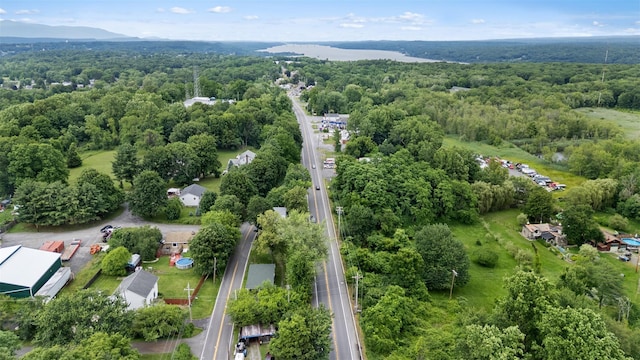 200 Ulster Ave, Ulster Park, NY 12487 - aerial overview of property's location featuring a forest
