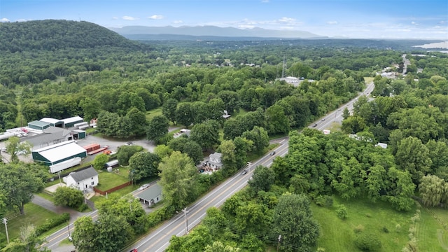 200 Ulster Ave, Ulster Park, NY 12487 - bird's eye view of a heavily wooded area and mountains
