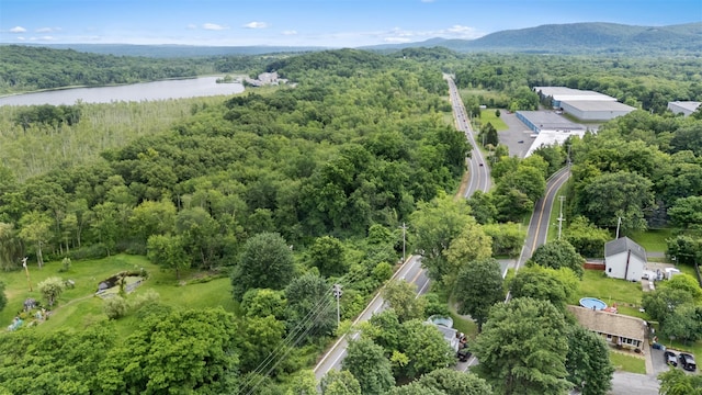 200 Ulster Ave, Ulster Park, NY 12487 - drone / aerial view of a forest and a nearby body of water