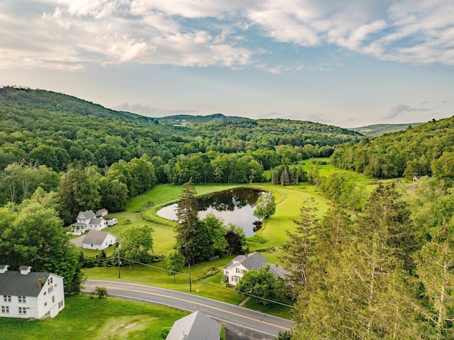 600 Jeffersonville Nbranch Rd, North Branch, NY 12766 - photo 4