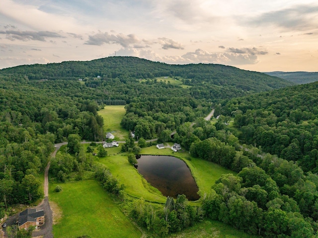 600 Jeffersonville Nbranch Rd, North Branch, NY 12766 - photo 16