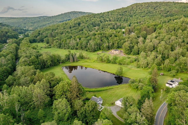 600 Jeffersonville Nbranch Rd, North Branch, NY 12766 - photo 17