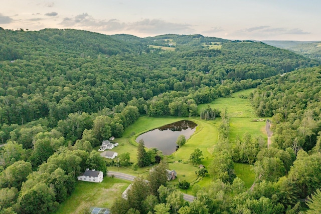 600 Jeffersonville Nbranch Rd, North Branch, NY 12766 - photo 18