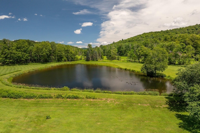 600 Jeffersonville Nbranch Rd, North Branch, NY 12766 - photo 41