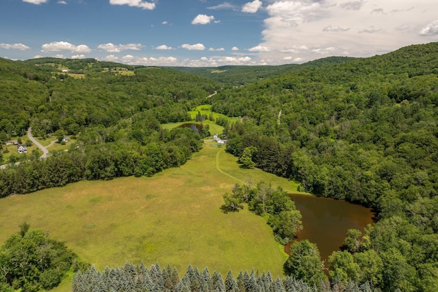 600 Jeffersonville Nbranch Rd, North Branch, NY 12766 - photo 42