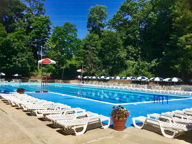 4 Sadore Ln Unit 5L, Yonkers, NY 10710 - view of community pool