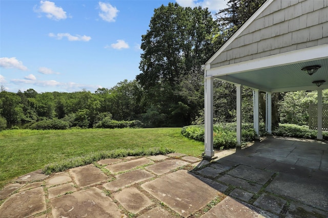 383 Pine Brook Rd, Bedford, NY 10506 - view of patio