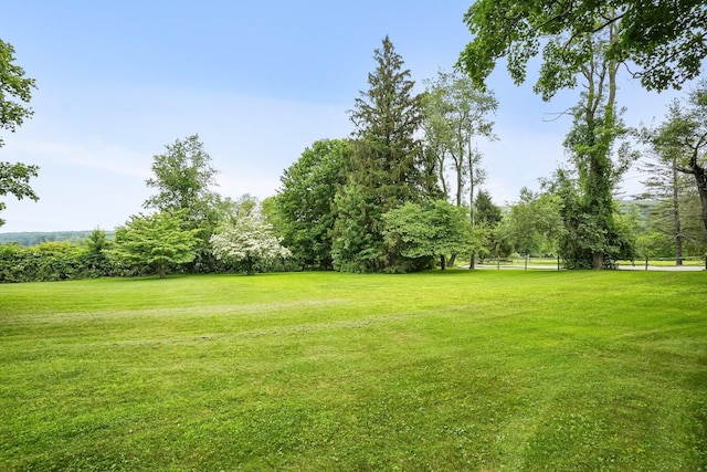 175 Old Quaker Hill Rd, Pawling, NY 12564 - photo 33