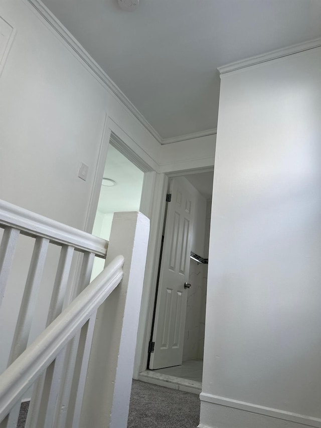138-01 107th Ave, Jamaica, NY 11435 - photo 10