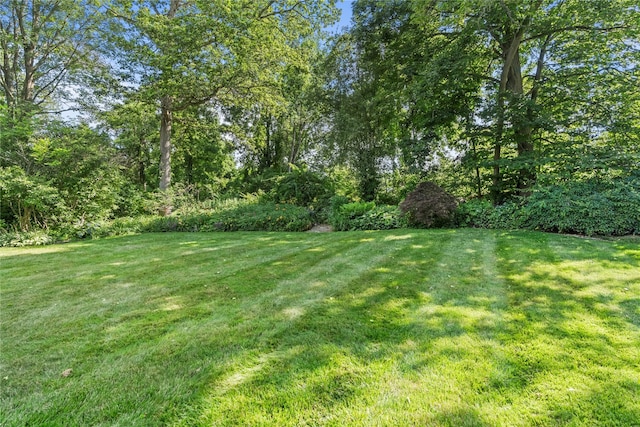 106 Bentley Ct, Brewster, NY 10509 - photo 23
