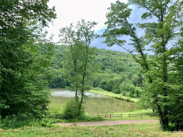 Chiloway Rd, Roscoe, NY 12776 - photo 2