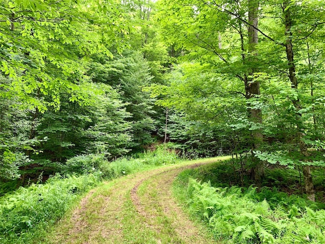 Chiloway Rd, Roscoe, NY 12776 - photo 3