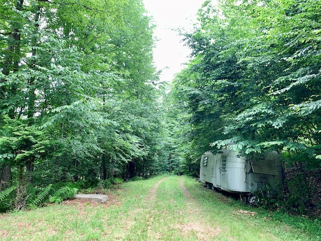Chiloway Rd, Roscoe, NY 12776 - photo 4