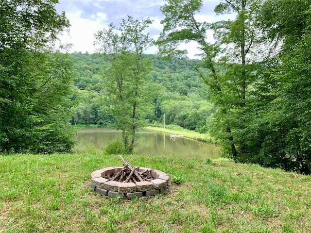Chiloway Rd, Roscoe, NY 12776 - photo 5