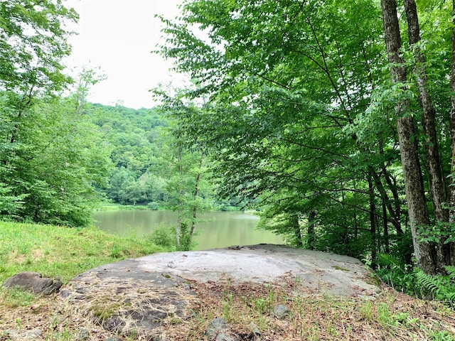 Chiloway Rd, Roscoe, NY 12776 - photo 6