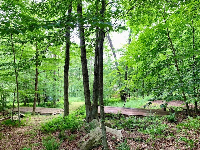 Chiloway Rd, Roscoe, NY 12776 - photo 9