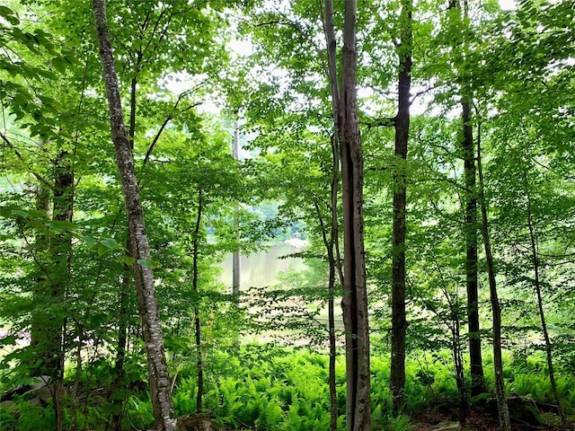 Chiloway Rd, Roscoe, NY 12776 - photo 10