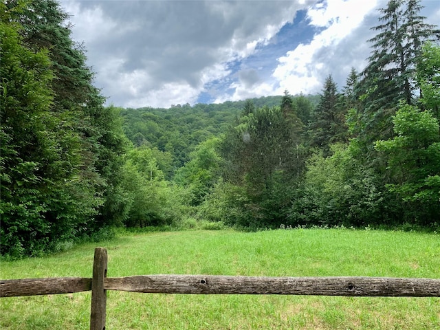 Chiloway Rd, Roscoe, NY 12776 - photo 13