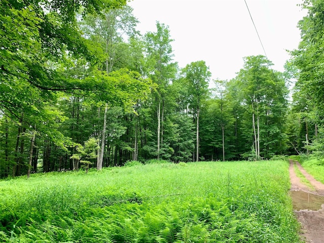 Chiloway Rd, Roscoe, NY 12776 - photo 15
