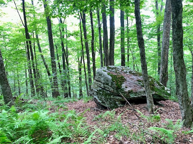 Chiloway Rd, Roscoe, NY 12776 - photo 16
