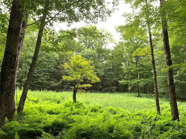 Chiloway Rd, Roscoe, NY 12776 - photo 18