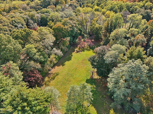 537 Moriches Rd, Head Of The Harbor, NY 11780 - aerial view of property and surrounding area featuring a forest