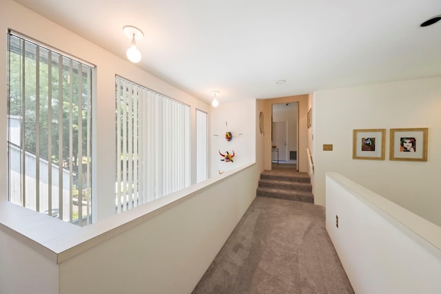 21 Lincoln Ter Unit 19, Middletown, NY 10940 - photo 31