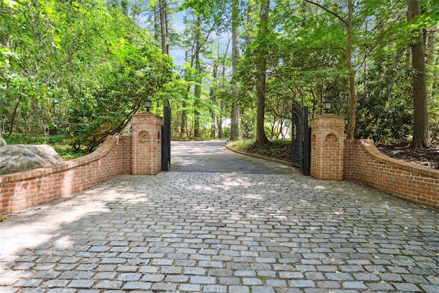 10 Laurel Woods Dr, Upper Brookville, NY 11771 - view of gate