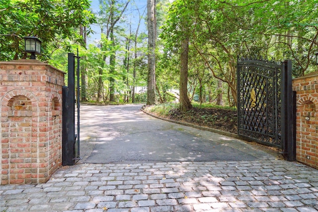 10 Laurel Woods Dr, Upper Brookville, NY 11771 - view of gate